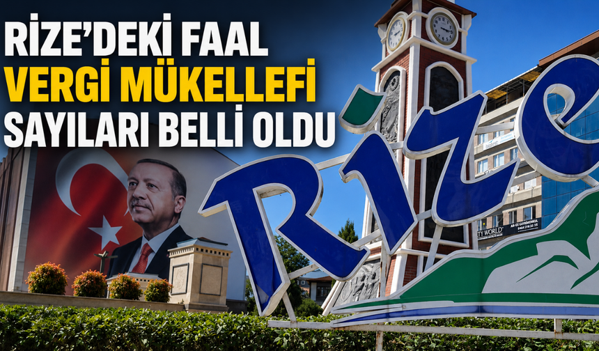 Rize'deki Faal Vergi Mükellefi Sayıları Belli Oldu
