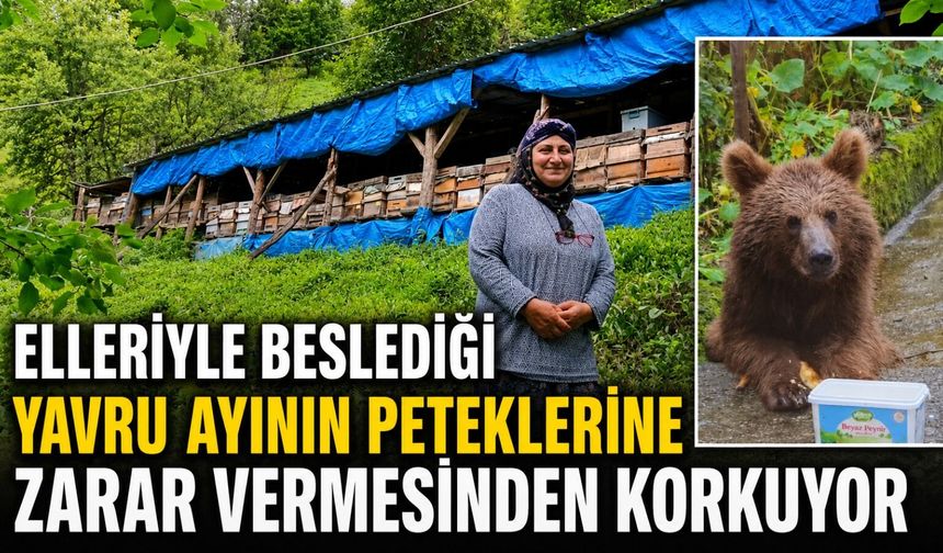 Rize'de İlginç Olay: Bir Aydır Elleri İle Beslediği Ayının Zarar Vermesinden Korkuyor