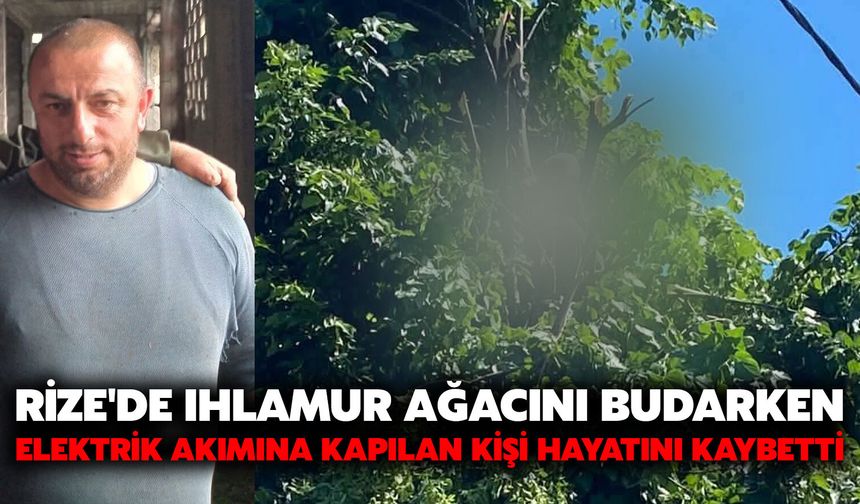 Rize'de Ihlamur Ağacını Budarken Elektrik Akımına Kapılan Kişi Hayatını Kaybetti