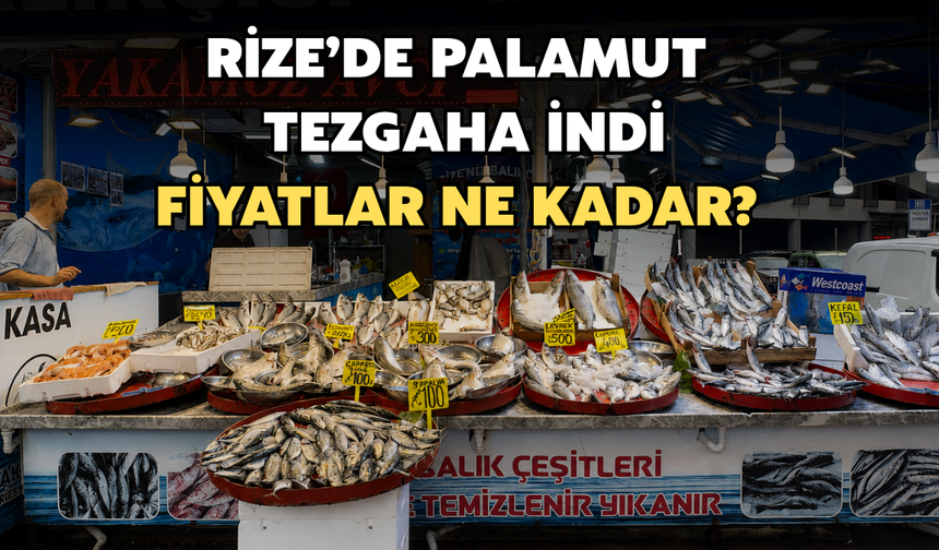 Rize’de Palamut Tezgaha İndi: Fiyatı Ne Kadar?