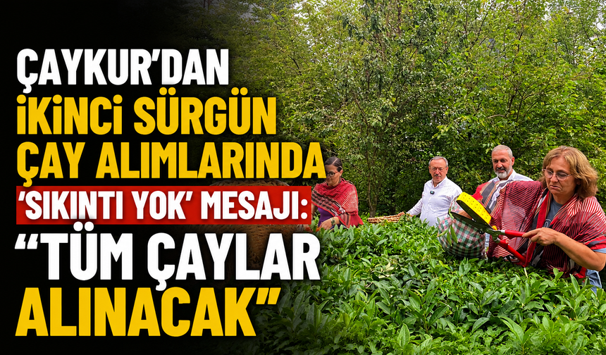 ÇAYKUR'dan İkinci Sürgün Çay Alımlarında 'Sıkıntı Yok' Mesajı: "Tüm Çaylar Alınacak