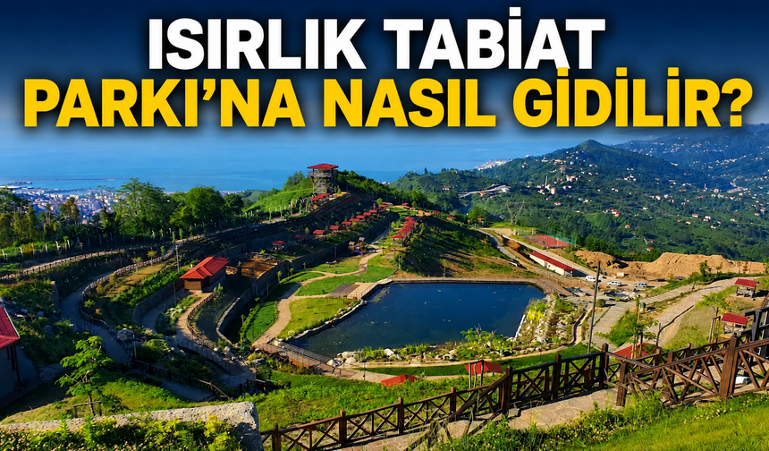Rize Isırlık Tabiat Parkı’na Nasıl Gidilir? Yapılacak Aktiviteler Nelerdir?