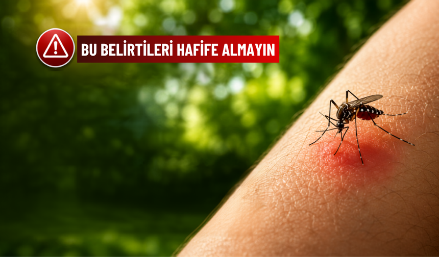 Sivrisinek Isırığı Ne Zaman Tehlikeli Olur? Bu Belirtileri Hafife Almayın
