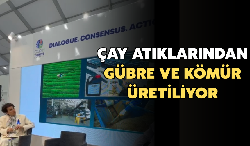 Çaydalı Projesi İle Çay Atıklarından Gübre ve Kömür Üretiliyor