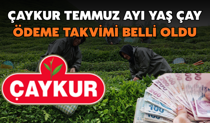 Çaykur Temmuz Ayı Yaş Çay Ödeme Takvimi Belli Oldu