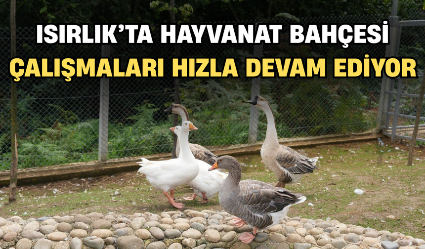 Isırlık'ta Hayvanat Bahçesi Çalışmaları Hızla Devam Ediyor
