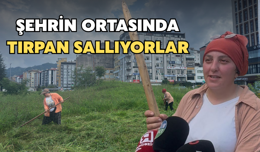 Rize’nin Göbeğinde Tırpan Sallıyorlar