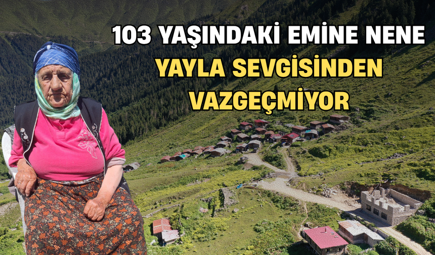 103 Yaşındaki Emine Nene Yayla Sevgisinden Vazgeçmiyor