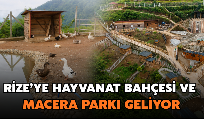 Rize'ye Butik Hayvanat Bahçesi Ve Macera Parkı Geliyor