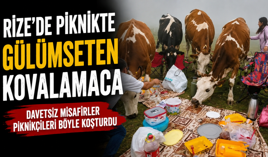 Rize’de Piknikte Gülümseten Kovalamaca