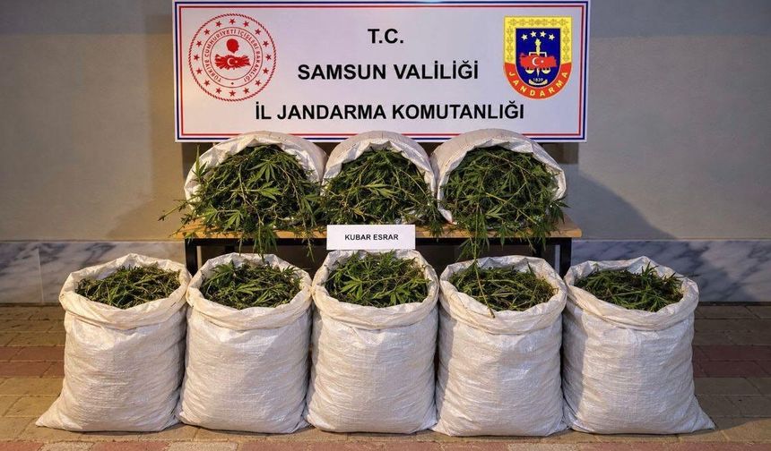 Samsun'da 63 Kilo Esrar Ele Geçirildi