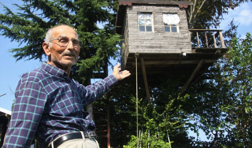 Torun Sevgisi 90 Yıllık Ağacı Eve Dönüştürdü
