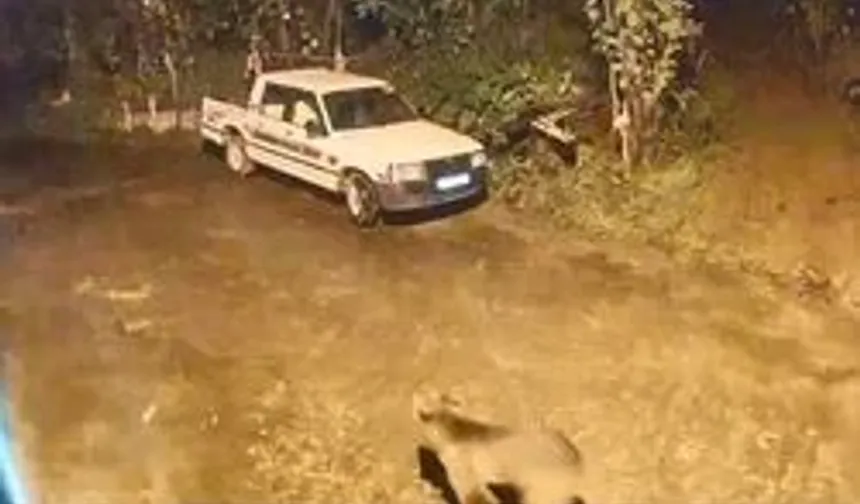 Artvin'de Evin Kapısına Gelen Ayı Kamerada