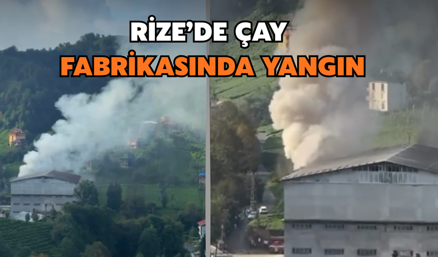 Rize'de Çay Fabrikasında Yangın