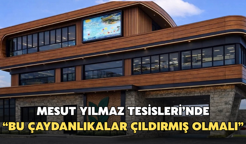 Rize'de "Bu Çaydanlıklar Çıldırmış Olmalı" Sergisi