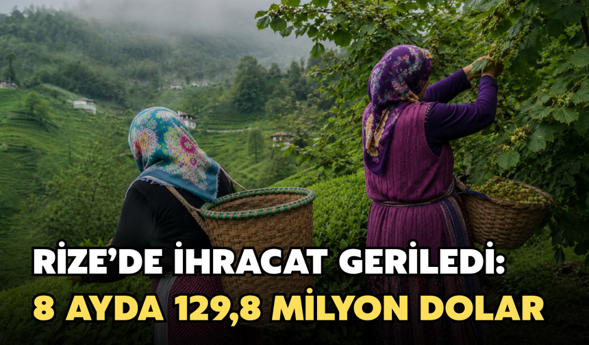 Rize’de İhracat Geriledi: 8 Ayda 129,8 Milyon Dolar