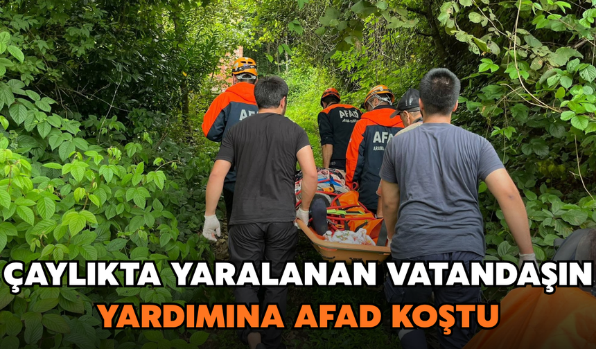 Rize'de Çaylıkta Yaralanan Kişi Kurtarıldı