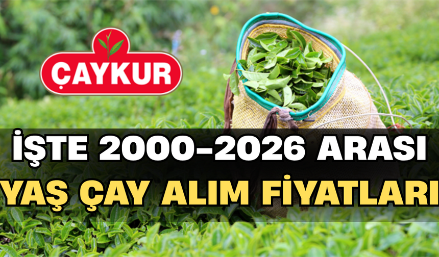 İşte 2000-2026 Arası Yaş Çay Alım Fiyatları