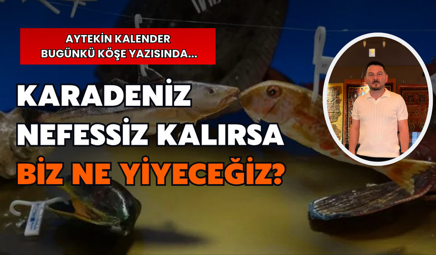 Karadeniz Nefessiz Kalırsa Biz Ne Yiyeceğiz?
