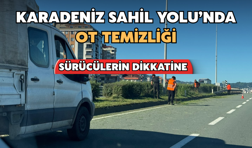 Karadeniz Sahil Yolu’nda Ot Temizliği