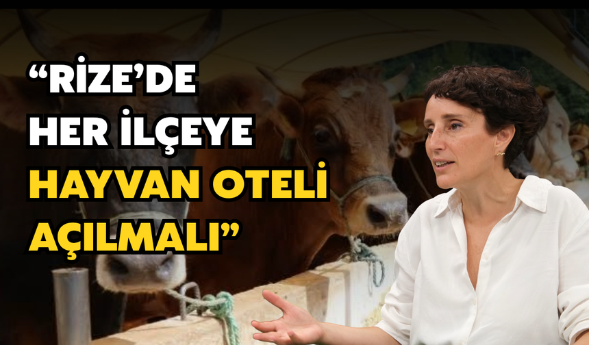 TOKİ’ye Rize İçin “Hayvan Oteli” Çağrısı