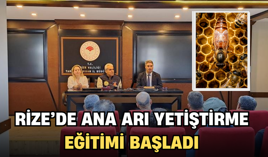 Rize’de Ana Arı Yetiştiriciliği Eğitimi Başladı