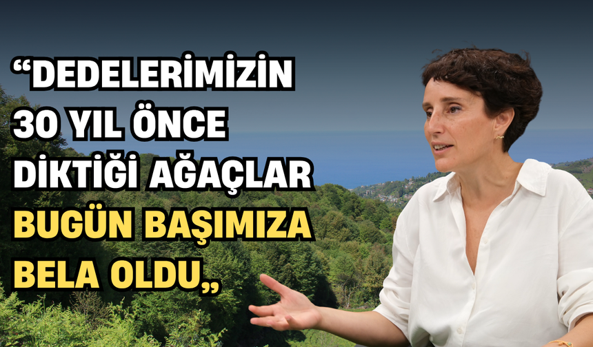 "Dedelerimizin 30 Yıl Önce Diktiği Ağaçlar Bugün Başımıza Bela Oldu"