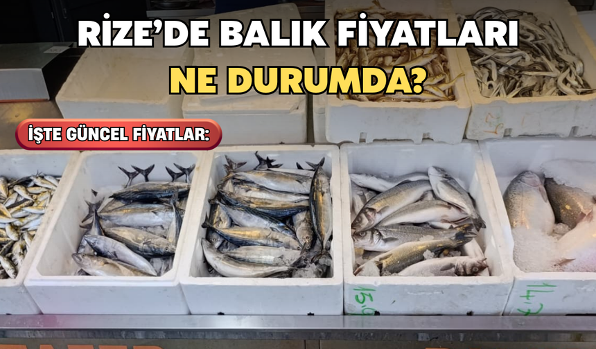 Rize’de Balık Fiyatları Belli Oldu
