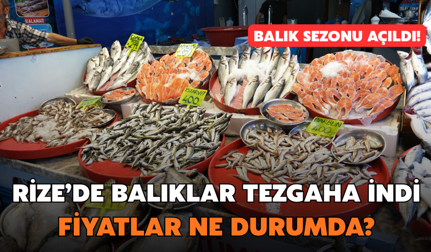 Rize'de Balık Sezonu Açıldı: Fiyatlar Belli Oldu