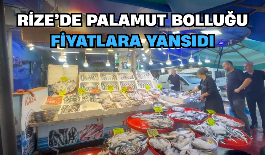 Rize’de Palamut Bolluğu Fiyatlara Yansıdı