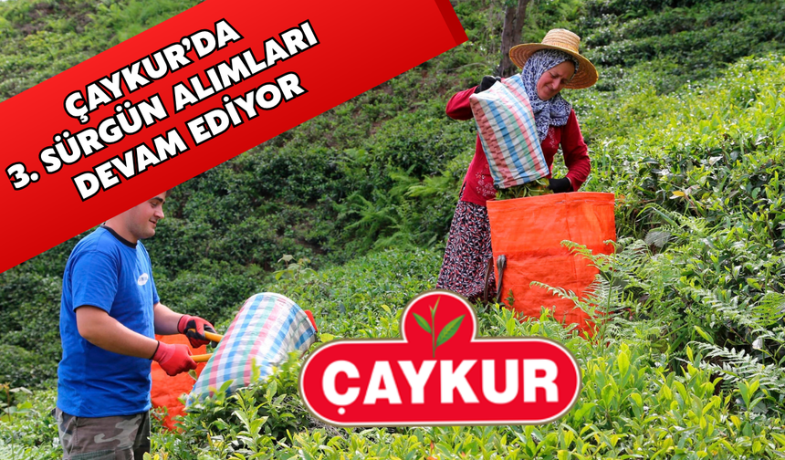 Üçüncü Sürgünde Çaykur’dan 127 Bin Tonluk Alım
