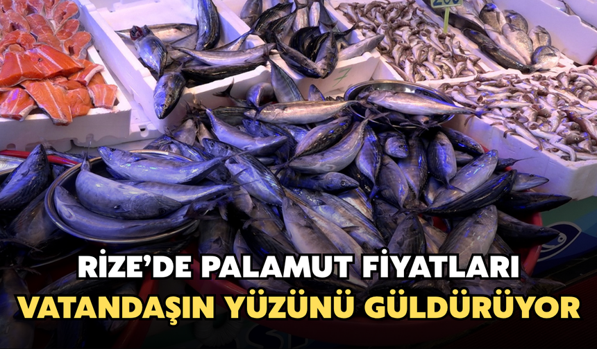 Palamut Bolluğu Vatandaşın Yüzünü Güldürüyor