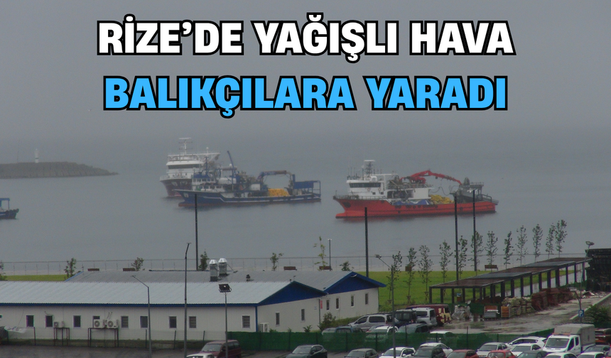 Rize'de Yağışlı Hava Balıkçılara Yaradı