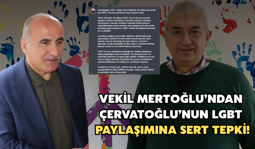 Mertoğlu’ndan Fındıklı Belediye Başkanı Çervatoğlu’na LGBT Tepkisi