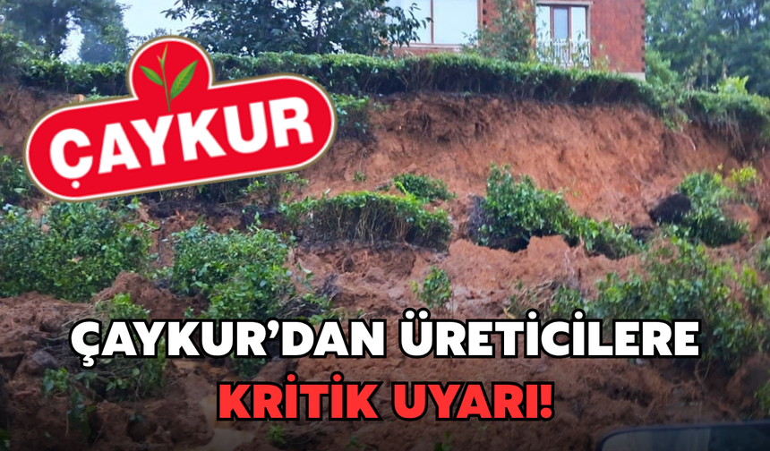 Çaykur'dan Üreticilere Kritik Uyarı: Uzak Durun!