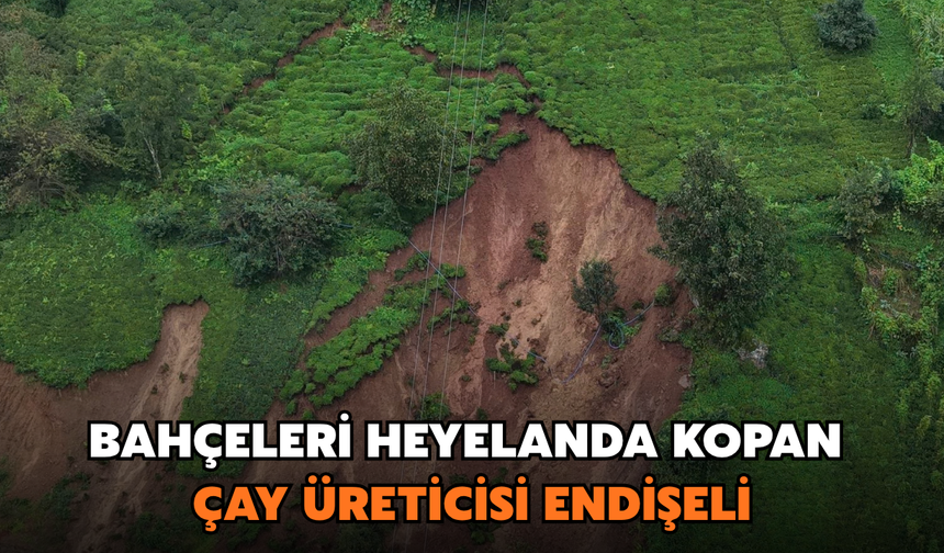 Bahçeleri Heyelanda Kopan Çay Üreticisi Endişeli
