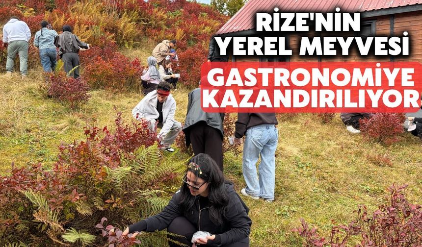Rize’nin Yabani Likapası İle Mutfakta Yeni Deneyim