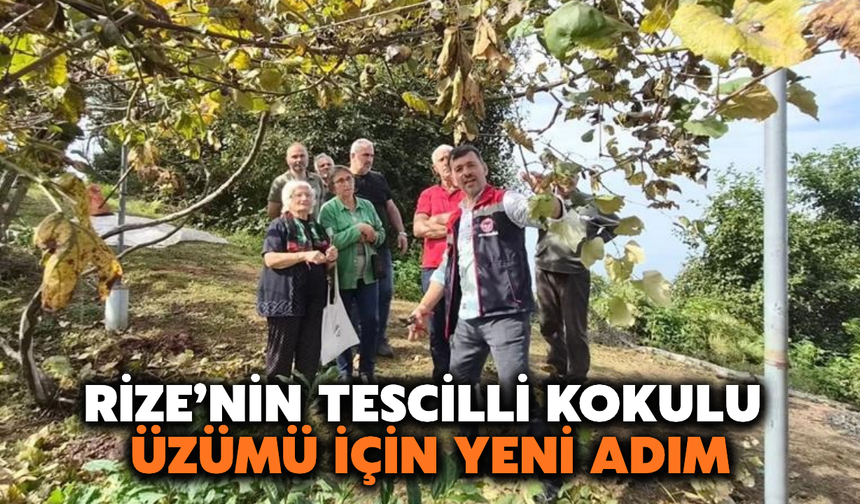 Rize’nin Coğrafi İşareti Kokulu Üzümü İçin Yeni Adım
