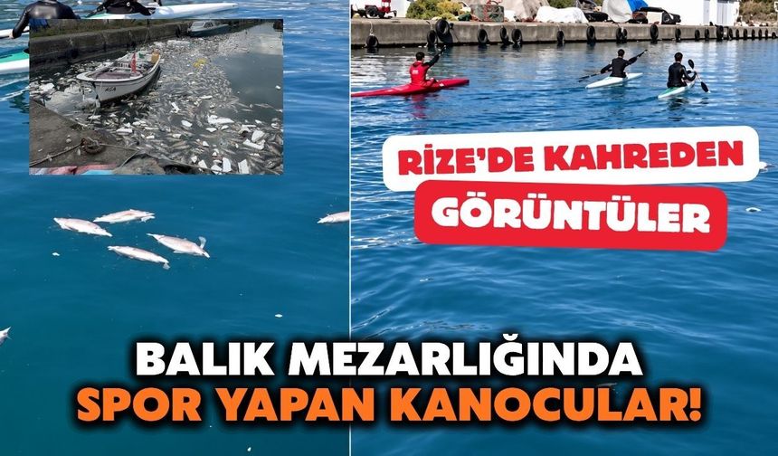 Rize’de Kano Sporcularından Deniz Kirliliğine Tepki