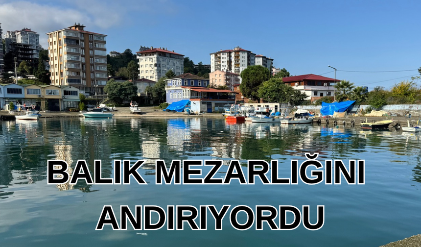 Balık mezarlığını andırıyordu: Temizlendi
