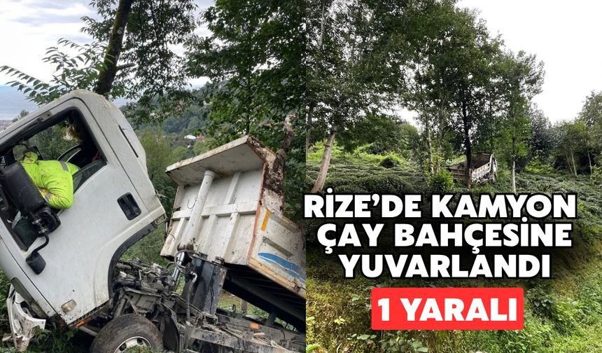 Rize’de Kamyon Çay Bahçesine Yuvarlandı: 1 Yaralı