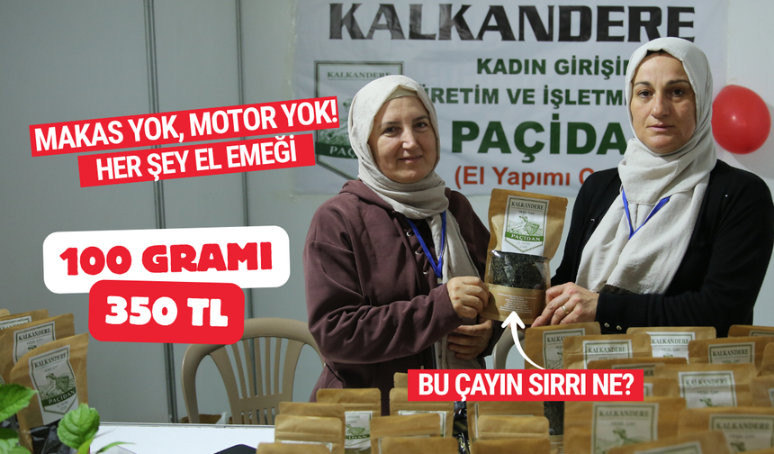 Rize'de Çayın En Nazlı Hali: 100 Gram İçin Saatlerce Çalışıyorlar