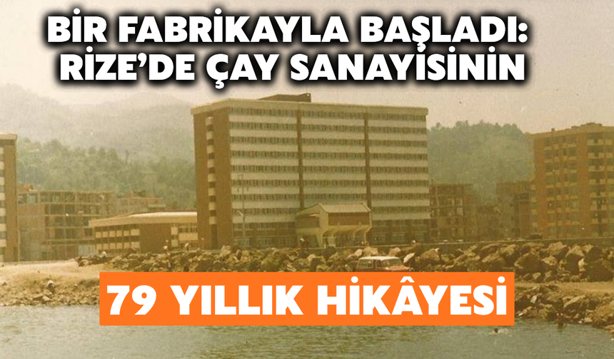 Bir Fabrikayla Başladı: Rize’de Çay Sanayisinin 79 Yıllık Hikâyesi