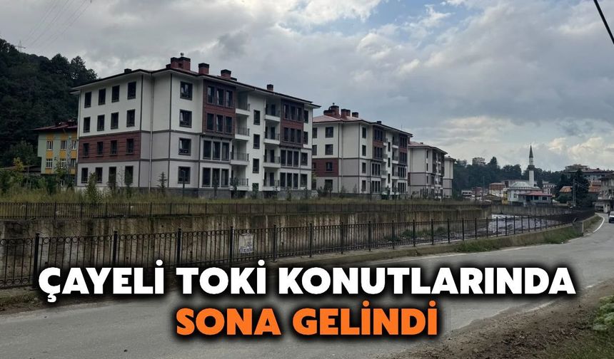 Çayeli Toki Konutlarında Son Durum: Yüzde 98 Bitti