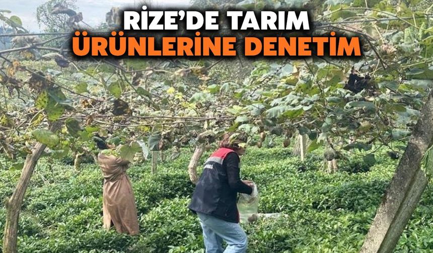 Rize'de Tarım Ürünlerine Denetim: Kurallara Uymayanlara Ceza Uygulanacak