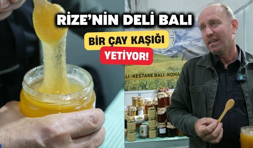 Rize’nin Deli Balı: Bir Çay Kaşığı Yetiyor