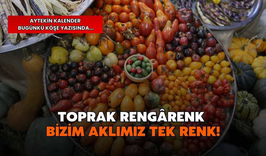 Aytekin Kalender: Festival bitti: Üreticiye Açılan Kapı Açık Kalacak Mı?