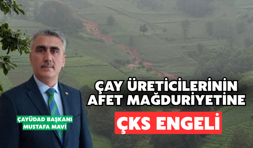 Çay Üreticilerinin Afet Mağduriyetine ÇKS Engeli