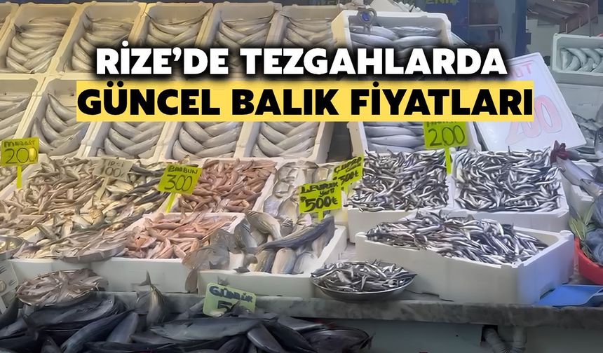 İşte Rize'de Tezgahlarda Güncel Balık Fiyatları