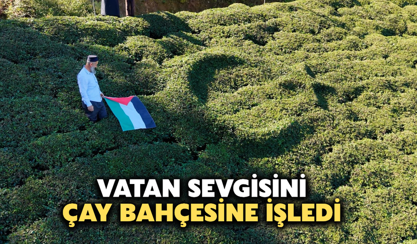 Rize'de Vatan Sevgisini Çay Bahçesine İşledi